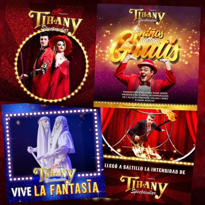 Proyecto Circo Tihany